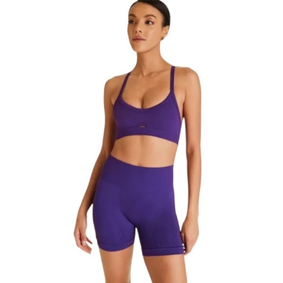 ALALA Seamless Barre Shorts NWT Purple - Picture 3 of 14